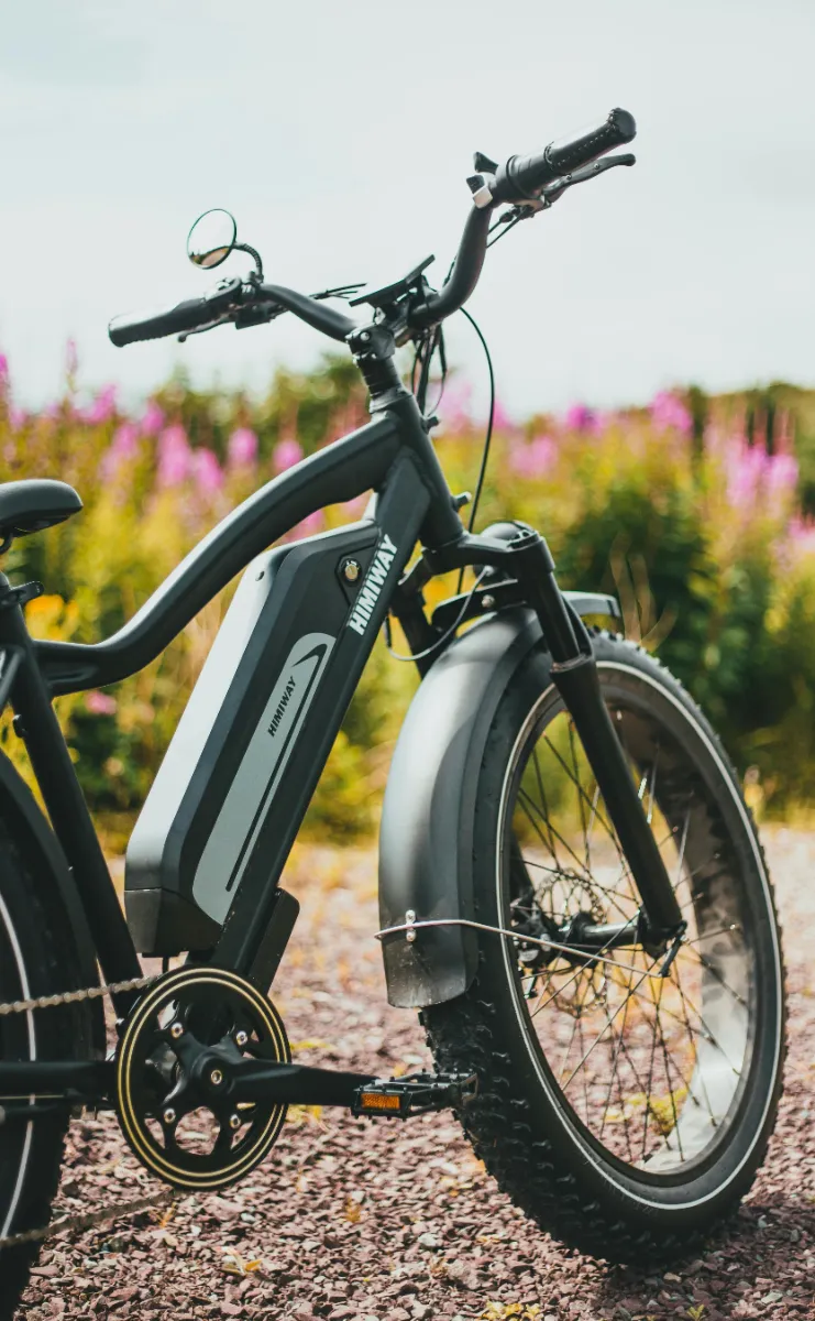 thebikeyear- Electric Mountain Bikes