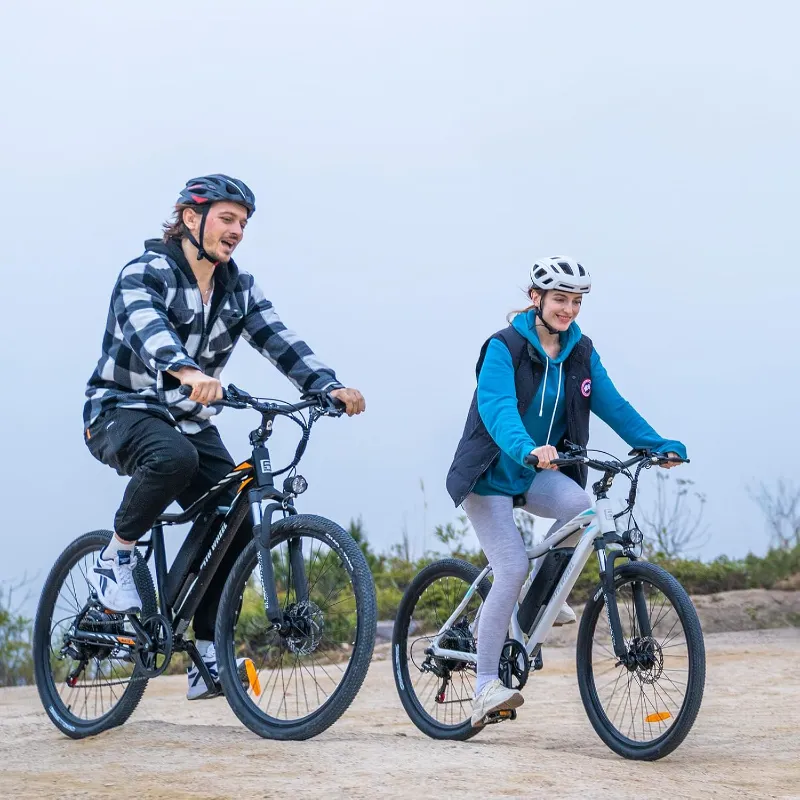 5TH WHEEL Electric Mountain Bike-1_800x800