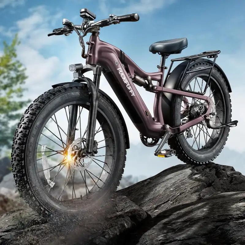 PUCKIPUPPY Electric Bike-1_800x800