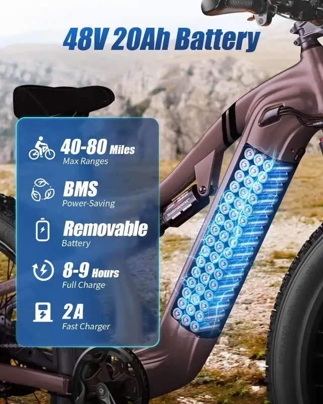 PUCKIPUPPY Electric Bike-Battery_640x800